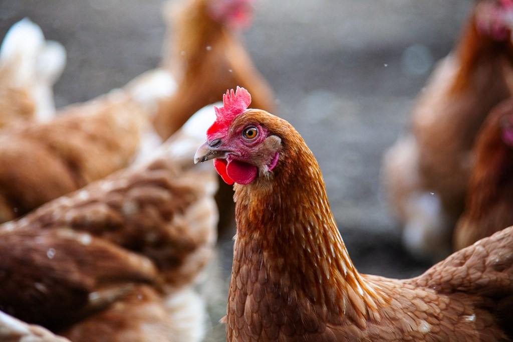 Lähiruualla jalat tietoisesti&nbsp;maassa